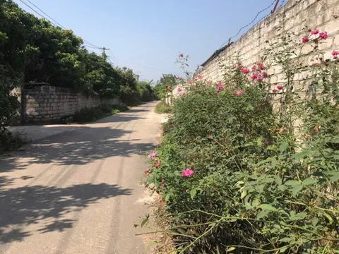 Bắc Giang: Xây dựng nông thôn mới sâu rộng, kiểu mẫu