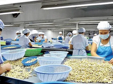 Tạo đột phá trong hợp tác đầu tư giữa Việt Nam và các nước Trung Đông