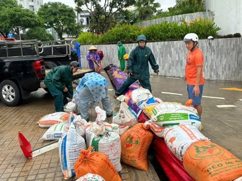 Ứng phó bão Trà Mi: Đà Nẵng đề nghị người dân hạn chế ra khỏi nhà từ 10h ngày mai