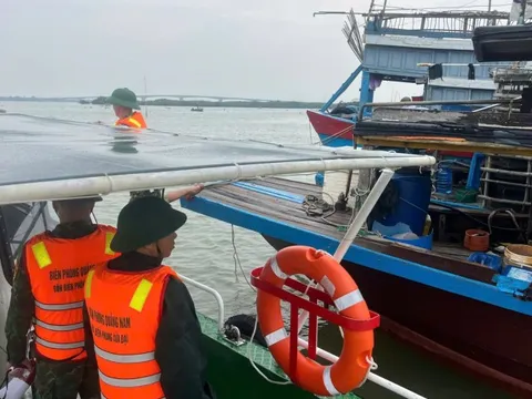 Biên phòng Quảng Nam giúp nhân dân gặt lúa, chằng chống nhà trước bão Trà Mi