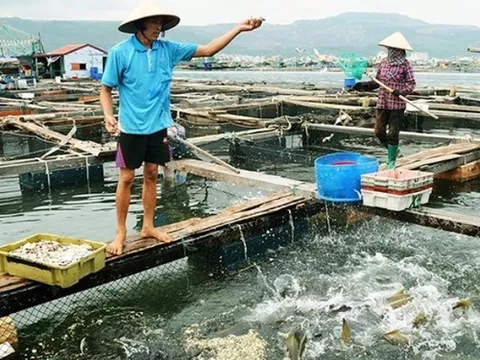 Quảng Ninh đẩy mạnh các giải pháp phục hồi kinh tế