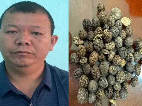 Bắt đối tượng buôn lậu 17 tấn dược liệu qua biên giới