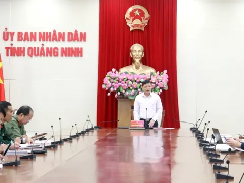 Quảng Ninh: Hoàn thành lập bản đồ hiện trạng sử dụng đất trước 30/6/2025