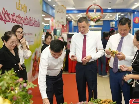 Đẩy mạnh các hình thức xúc tiến thương mại, thúc đẩy tiêu thụ nông sản