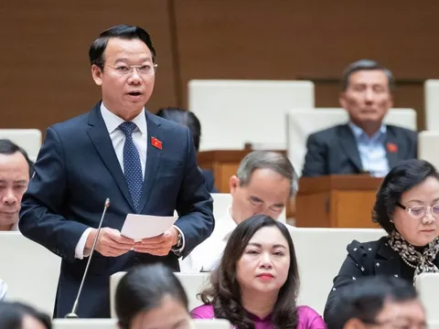 Bộ trưởng TN&MT nêu giải pháp chấn chỉnh công tác đấu giá đất