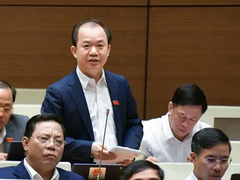 ĐBQH nêu lý do không tăng thuế GTGT với hoạt động văn hóa