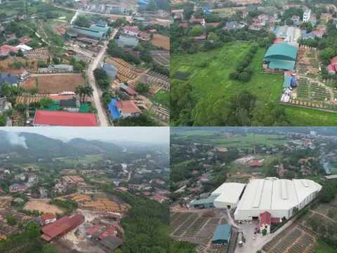 Bắc Giang: Loạt xưởng gỗ “nhiều không" tại huyện Yên Thế
