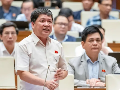 Áp thuế suất 5% với phân bón “nóng” nghị trường Quốc hội