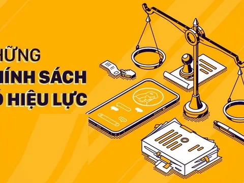 Những chính sách mới có hiệu lực tháng 11/2024