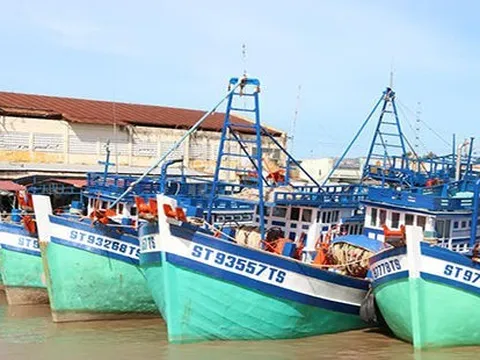 Sóc Trăng đẩy mạnh phát triển nuôi trồng thủy sản