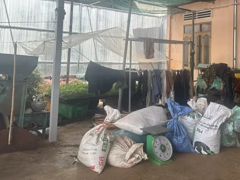 Xác minh vụ người dân trình báo mất trộm hơn 600kg cà phê tươi