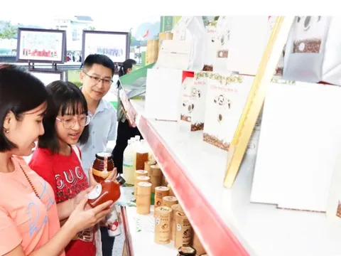 Chương trình OCOP tỉnh Sơn La ngày càng vươn xa, tăng sức cạnh tranh và thu nhập cho người dân