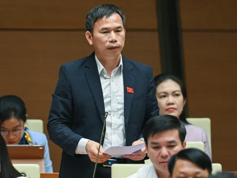 Không ngừng phát huy giá trị tích cực của Bộ Pháp điển Việt Nam