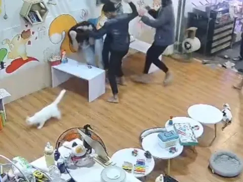 Nhắn tin chúc mừng sinh nhật bạn gái cùng lớp, nam sinh bị đánh hội đồng