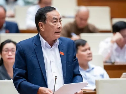 "Khoáng sản là "miếng mồi ngon" mà những người biết cách sẽ khai thác triệt để"