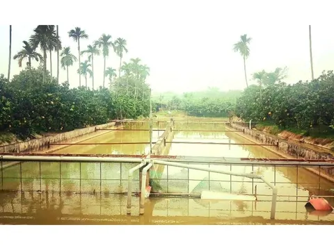 Chuyển đổi cơ cấu sản xuất để thực hiện thành công xây dựng nông thôn mới