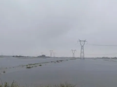 Chủ động ứng phó với mưa lớn kéo dài, bảo bảo an toàn lưới điện truyền tải khu vực miền Trung