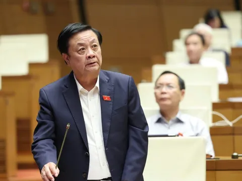 Bộ trưởng Lê Minh Hoan nêu chính sách hỗ trợ bà con nông dân bị thiệt hại bởi bão lũ