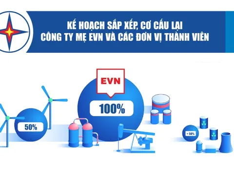 Infographics: Kế hoạch sắp xếp, cơ cấu lại công ty mẹ EVN và các đơn vị thành viên
