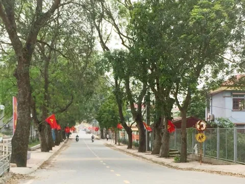 Thực hiện mục tiêu kép xây dựng nông thôn mới nâng cao gắn với tiến trình lên quận