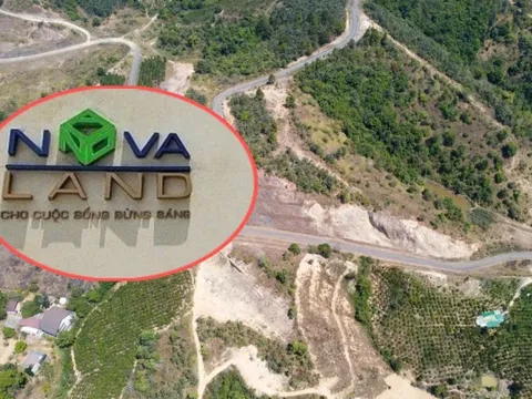 Số phận của 2.700 tỷ đồng Novaland mua lại dự án Đại Ninh