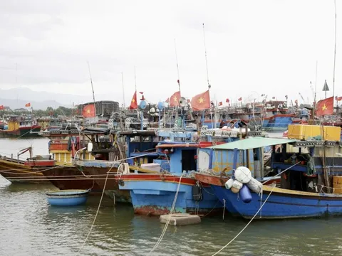 Quảng Bình xử lý nghiêm hành vi tiếp tay, tiêu thụ thủy sản vi phạm IUU