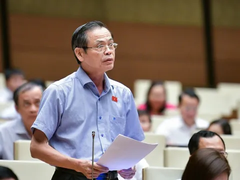 "Hàng nghìn cán bộ, công chức sẽ sợ sai" vì một quy định đấu thầu