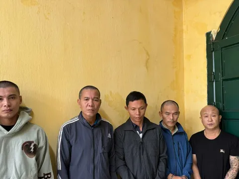 Thanh Hóa: Bắt giữ 5 đối tượng trong nhóm trộm cắp hơn 100 con chó