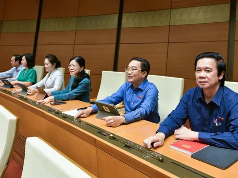 Điều chỉnh chương trình kỳ họp thứ 8, Quốc hội khóa XV