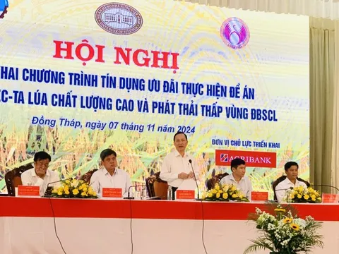 Đẩy mạnh tín dụng ưu đãi, thực hiện mục tiêu 1 triệu ha lúa chất lượng cao