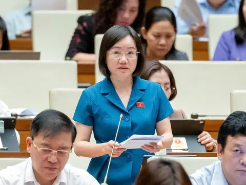 Xử lý SCB, Vạn Thịnh Phát cho thấy có trách nhiệm của tổ chức kiểm toán