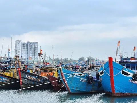 Bình Định tăng cường phối hợp với các tỉnh phía nam quản lý tàu cá