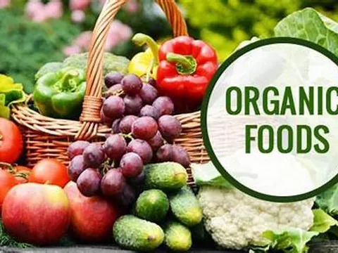 EU công nhận 3 tổ chức được chứng nhận hữu cơ từ Việt Nam