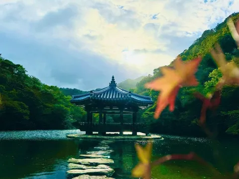 Trải nghiệm những điểm đến mới tươi đẹp của Hàn Quốc