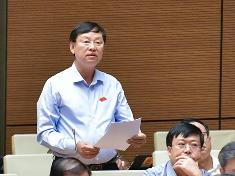 Tân Hoàng Minh nộp khắc phục hơn 8.000 tỷ đồng nhưng 2 năm sau mới trả lại cho bị hại