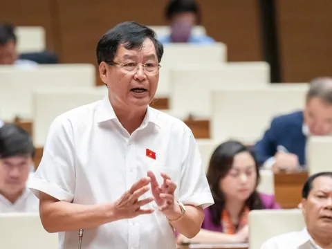 ĐBQH nêu lý do cần đánh giá ý nghĩa, vai trò của tài sản, vật chứng đối với vụ án