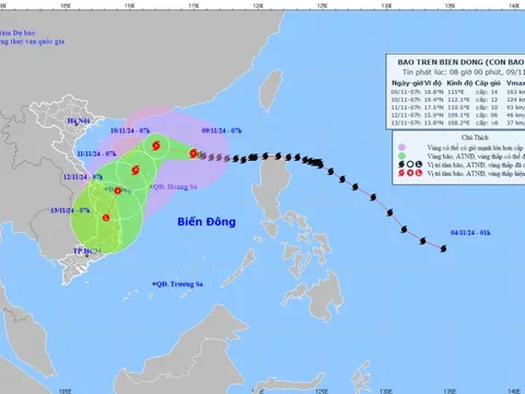 Bão số 7 gây gió giật cấp 17, biển động dữ dội