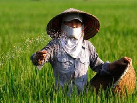 Thuế GTGT với phân bón: Cần rõ trách nhiệm doanh nghiệp với nông dân