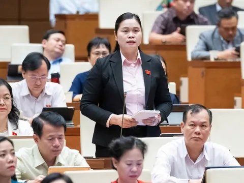 Sẽ có thông tư mới cơ cấu lại thời hạn trả nợ cho khoản vay bị thiệt hại do bão
