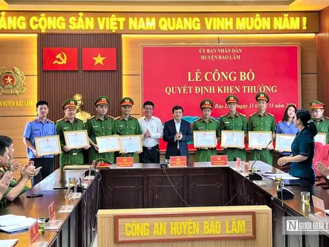 Lâm Đồng khen thưởng đột xuất lực lượng điều tra vụ án khai thác gỗ quý trái phép