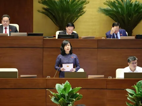 Bộ trưởng Đào Hồng Lan nói về 'giữ chân' cán bộ y tế, quản lý thực phẩm chức năng