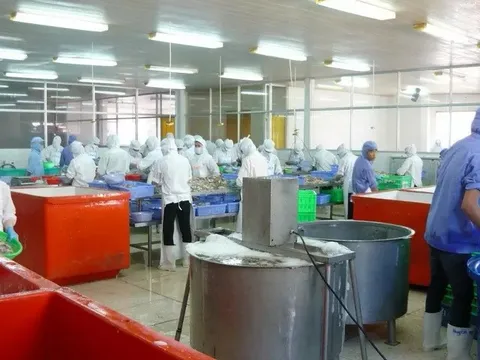 Bến Tre: Chỉ số sản xuất công nghiệp 10 tháng tăng hơn 11%