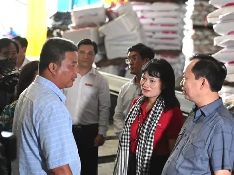 Triển khai đồng bộ giải pháp, hướng tới mục tiêu 1 triệu ha lúa chất lượng cao
