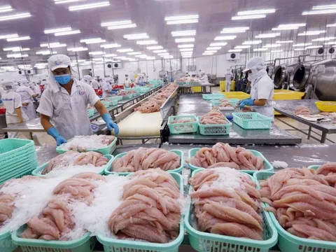 Xuất khẩu thủy sản 10 tháng đạt hơn 8,3 tỷ USD