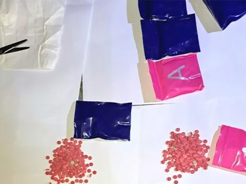 Công an Thanh Hóa bắt giữ 9 đối tượng tàng trữ, mua bán ma túy