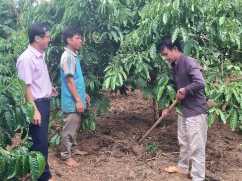 Tín dụng chính sách góp lực đổi thay diện mạo nông thôn Krông Pắc