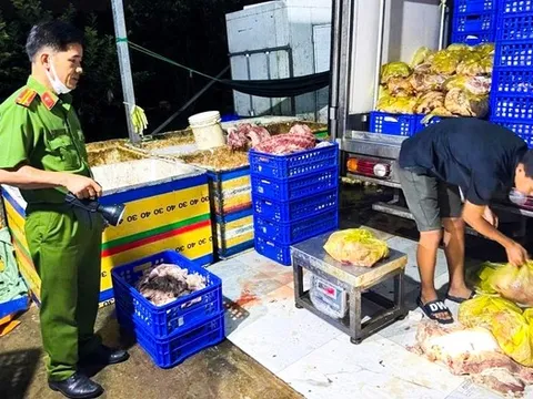 Phát hiện hàng tấn thực phẩm bẩn tại các cơ sở giết mổ, chế biến ở Biên Hòa