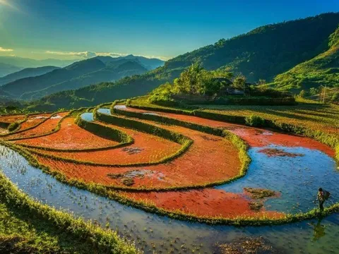 Quảng bá vẻ đẹp và tiềm năng của vùng đất Lai Châu tại Đà Nẵng