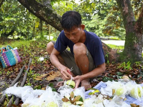 Áp thuế VAT cho phân bón: Câu chuyện Doanh nghiệp và nông dân ngồi chung "một thuyền"