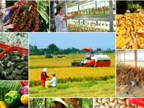 Dự kiến bãi bỏ một số văn bản QPPL thuộc lĩnh vực nông nghiệp và phát triển nông thôn